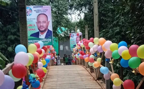 টাঙ্গাইলে কাঠের সেতু নির্মাণ করলেন বিএনপি নেতা টুকু | উন্নয়নে নিজস্ব অর্থায়ন